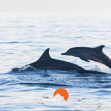 #016 T2 Windmill By Holidays 아파트 알부페이라